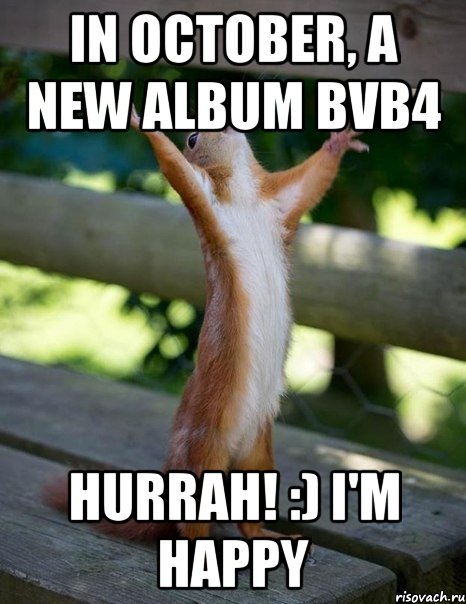 in October, a new album bvb4 Hurrah! :) I'm happy, Мем    белка молится