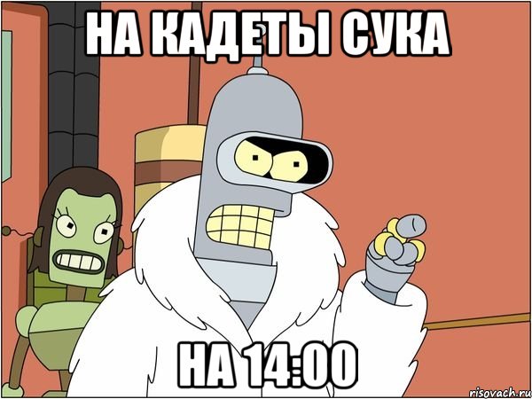 На кадеты сука На 14:00, Мем Бендер