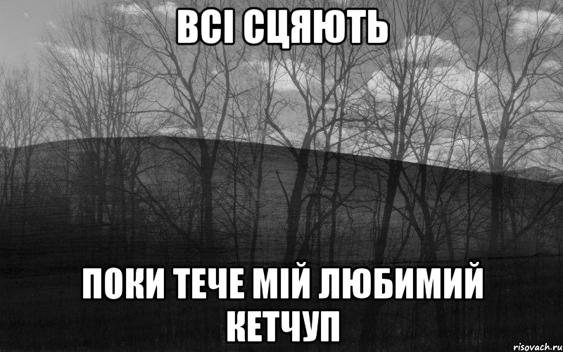 всі сцяють поки тече мій любимий кетчуп, Мем безысходность лес