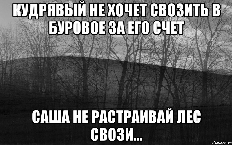 Кудрявый не хочет свозить в буровое за его счет Саша не растраивай лес свози..., Мем безысходность лес