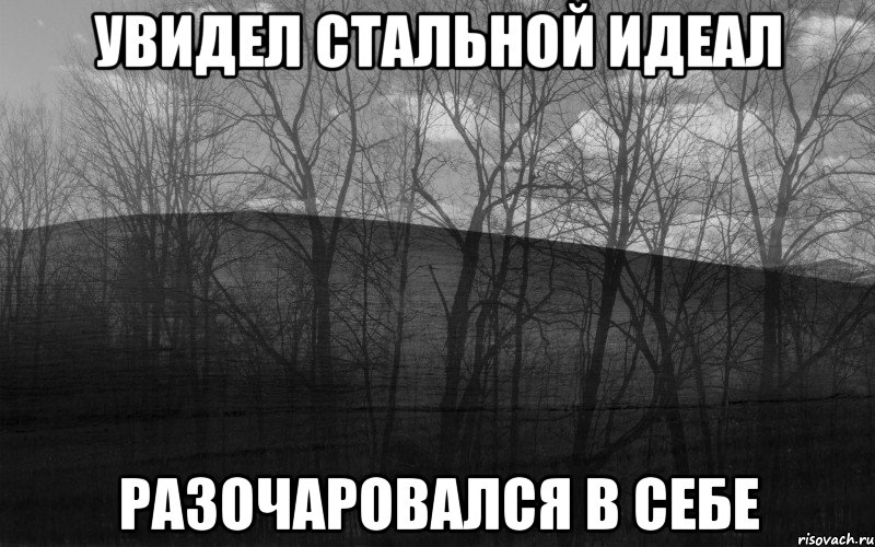 Увидел стальной идеал Разочаровался в себе, Мем безысходность тлен боль