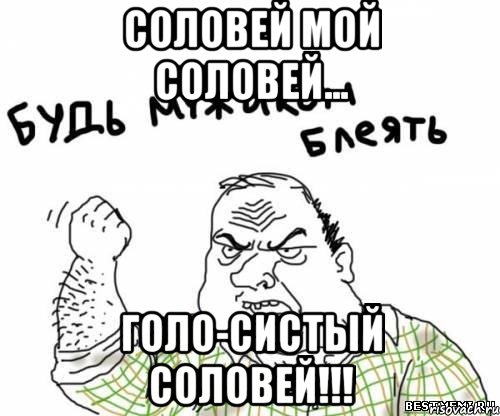 СОЛОВЕЙ МОЙ СОЛОВЕЙ... ГОЛО-СИСТЫЙ СОЛОВЕЙ!!!, Мем блять