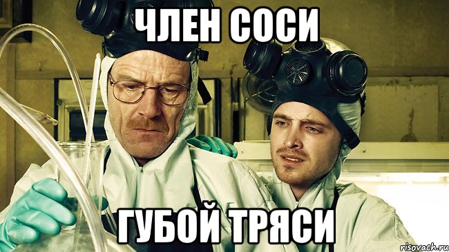 член соси губой тряси