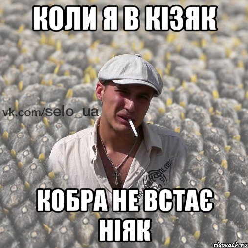 коли я в кізяк кобра не встає ніяк