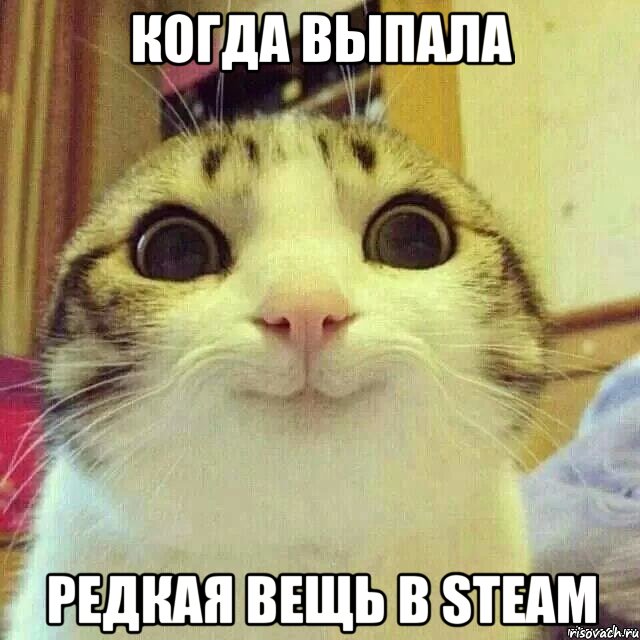 Когда выпала редкая вещь в Steam, Мем       Котяка-улыбака