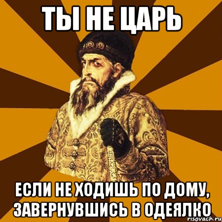 Ты не царь Если не ходишь по дому, завернувшись в одеялко, Мем Не царское это дело