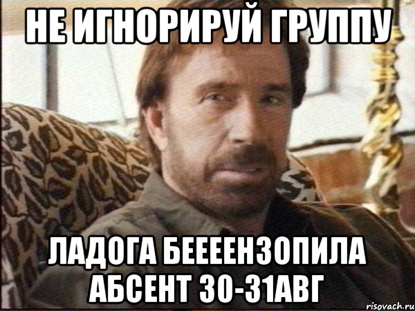 не игнорируй группу Ладога БЕЕЕЕНЗОПИЛА абсент 30-31авг, Мем чак норрис