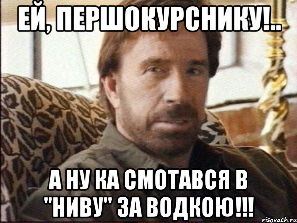 ей, першокурснику!.. а ну ка смотався в "Ниву" за водкою!!!, Мем чак норрис