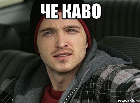 ЧЕ КАВО , Мем че каво сучара