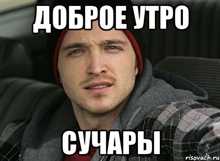 ДОБРОЕ УТРО СУЧАРЫ, Мем че каво сучара