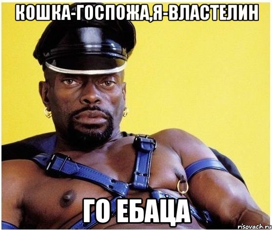 КОШКА-ГОСПОЖА,Я-ВЛАСТЕЛИН ГО ЕБАЦА, Мем Черный властелин