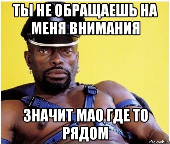 Ты не обращаешь на меня внимания Значит мао где то рядом, Мем Черный властелин