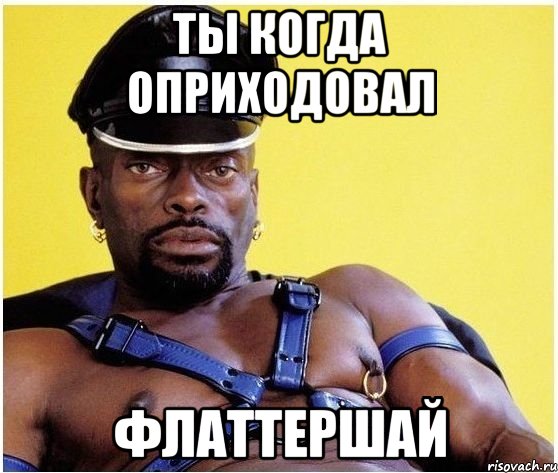 Ты когда оприходовал Флаттершай, Мем Черный властелин