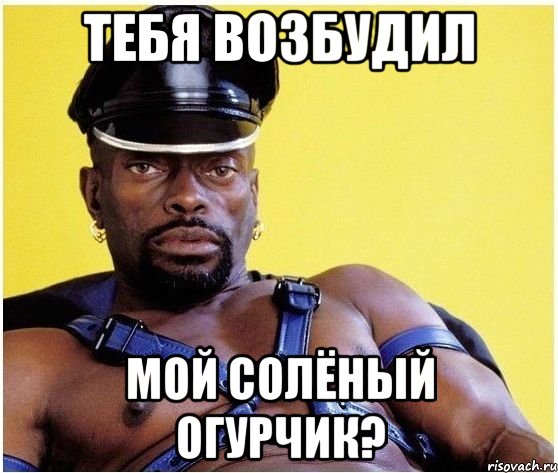тебя возбудил мой солёный огурчик?, Мем Черный властелин