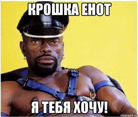 Крошка енот Я тебя хочу!, Мем Черный властелин