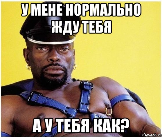 у мене нормально жду тебя а у тебя как?, Мем Черный властелин