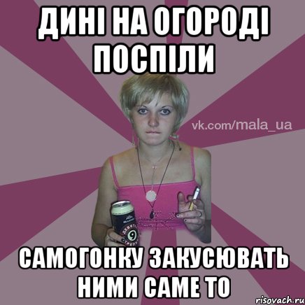 дині на огороді поспіли самогонку закусювать ними саме то