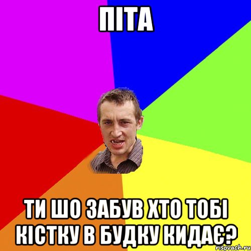 Піта ти шо забув хто тобі кістку в будку кидає?, Мем Чоткий паца