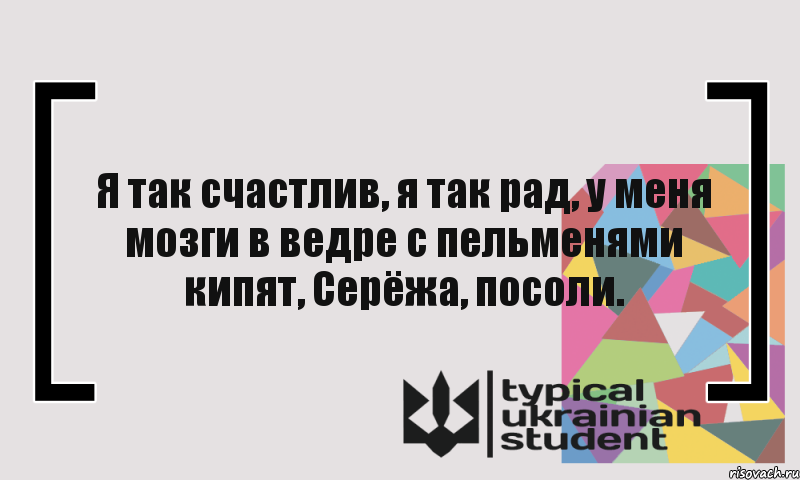 Я так счастлив, я так рад, у меня мозги в ведре с пельменями кипят, Серёжа, посоли., Комикс цитата