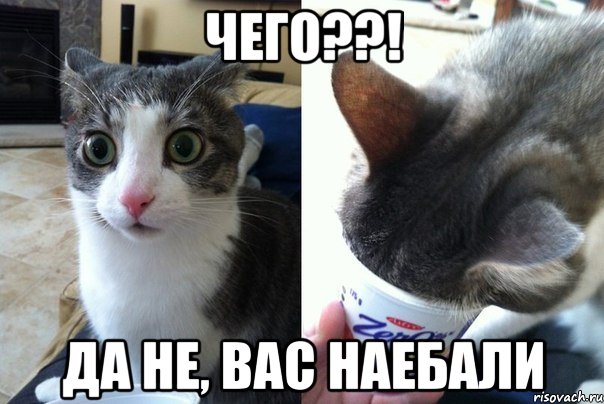 Чего??! Да не, вас наебали