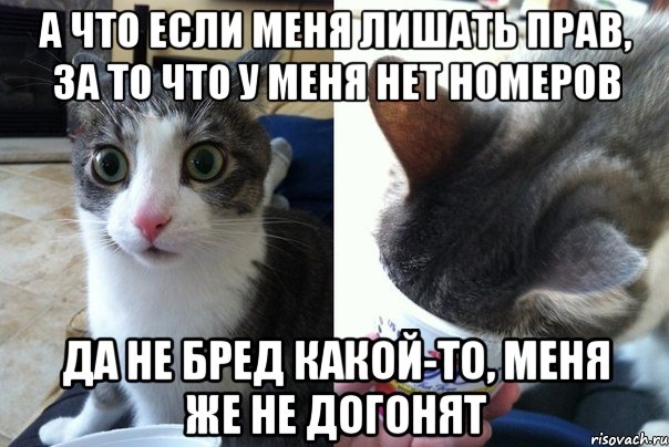 А что если меня лишать прав, за то что у меня нет номеров Да не бред какой-то, меня же не догонят, Комикс  Да не бред-какой-то (2 зоны)