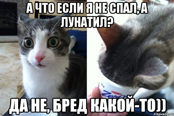 А ЧТО ЕСЛИ Я НЕ СПАЛ, А ЛУНАТИЛ? ДА НЕ, БРЕД КАКОЙ-ТО)), Комикс  Да не бред-какой-то (2 зоны)