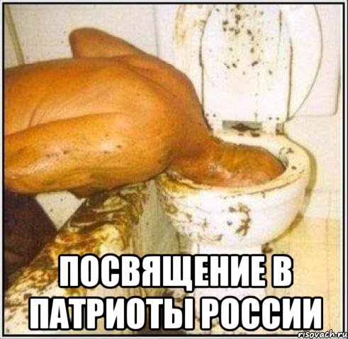  посвящение в патриоты России, Мем Дайвер