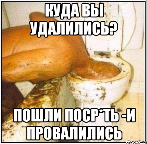 куда вы удалились? пошли поср*ть -и провалились, Мем Дайвер