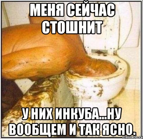 Меня сейчас стошнит У них инкуба...ну вообщем и так ясно., Мем Дайвер