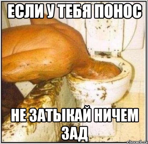 ЕСЛИ У ТЕБЯ ПОНОС НЕ ЗАТЫКАЙ НИЧЕМ ЗАД, Мем Дайвер