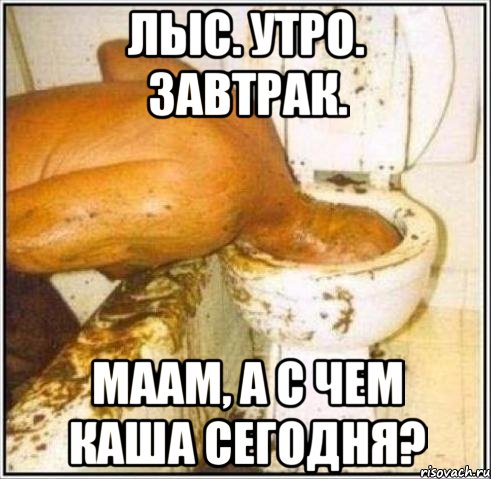 ЛЫС. УТРО. ЗАВТРАК. МААМ, А С ЧЕМ КАША СЕГОДНЯ?, Мем Дайвер