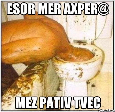 esor mer axper@ mez pativ tvec, Мем Дайвер