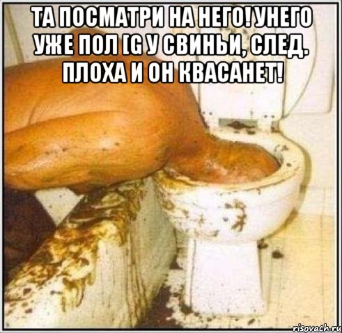 Та посматри на него! Унего уже пол [g у свиньи, след. плоха и он квасанет! , Мем Дайвер