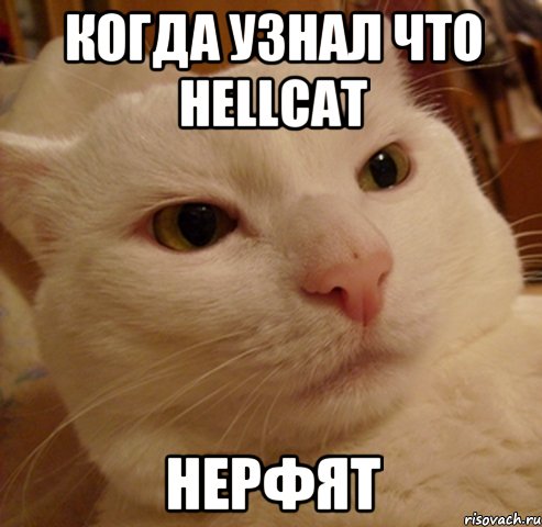 когда узнал что Hellcat нерфят, Мем Дерзкий котэ