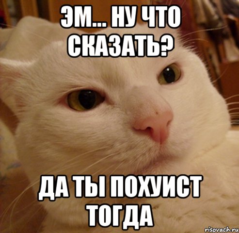 Эм... ну что сказать? Да ты похуист тогда, Мем Дерзкий котэ