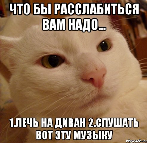 Что бы расслабиться вам надо... 1.лечь на диван 2.слушать вот эту музыку, Мем Дерзкий котэ