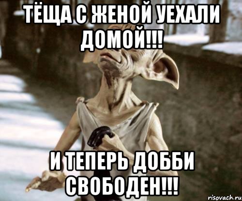 Тёща с женой уехали домой!!! И теперь Добби Свободен!!!
