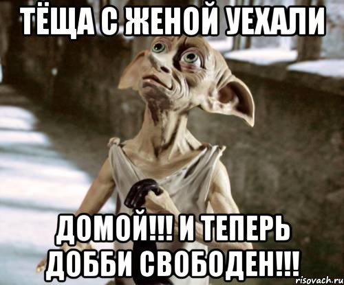 Тёща с женой уехали домой!!! И теперь Добби Свободен!!!
