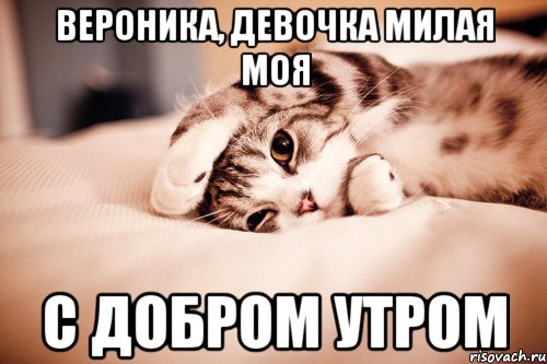 вероника, девочка милая моя с добром утром