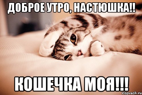 Доброе утро, Настюшка!! Кошечка моя!!!