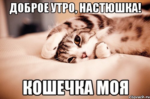 Доброе утро, Настюшка! Кошечка моя