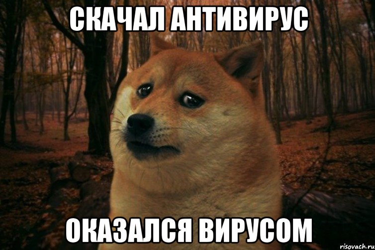 Скачал антивирус оказался вирусом, Мем SAD DOGE