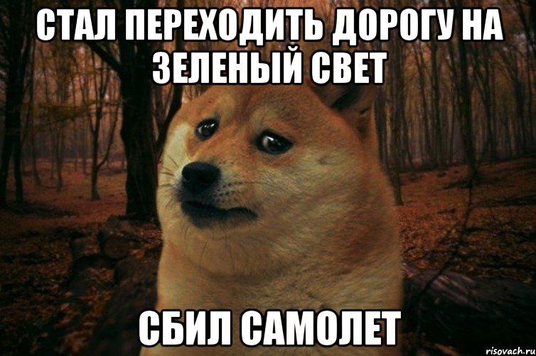 Стал переходить дорогу на зеленый свет сбил самолет, Мем SAD DOGE