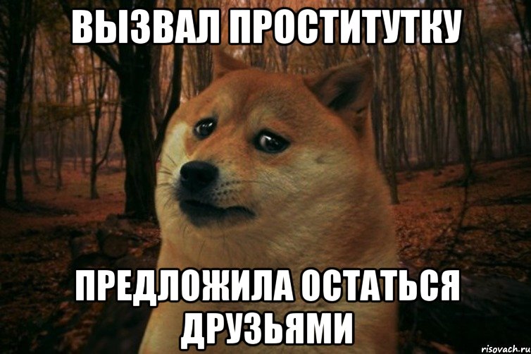 Вызвал проститутку предложила остаться друзьями, Мем SAD DOGE