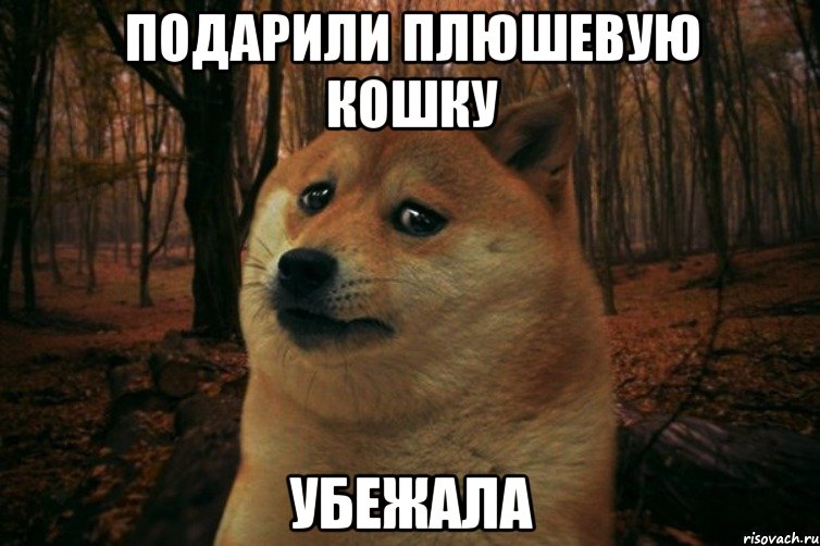 Подарили плюшевую кошку убежала, Мем SAD DOGE