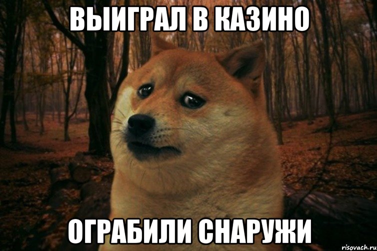 Выиграл в казино ограбили снаружи, Мем SAD DOGE