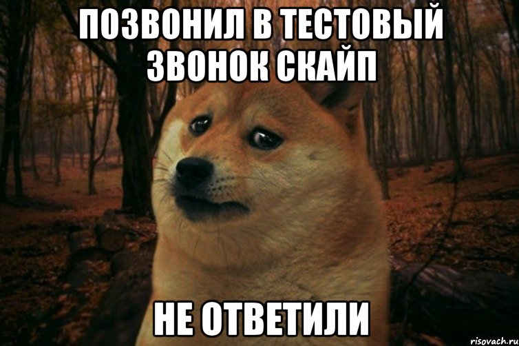 позвонил в тестовый звонок скайп не ответили, Мем SAD DOGE