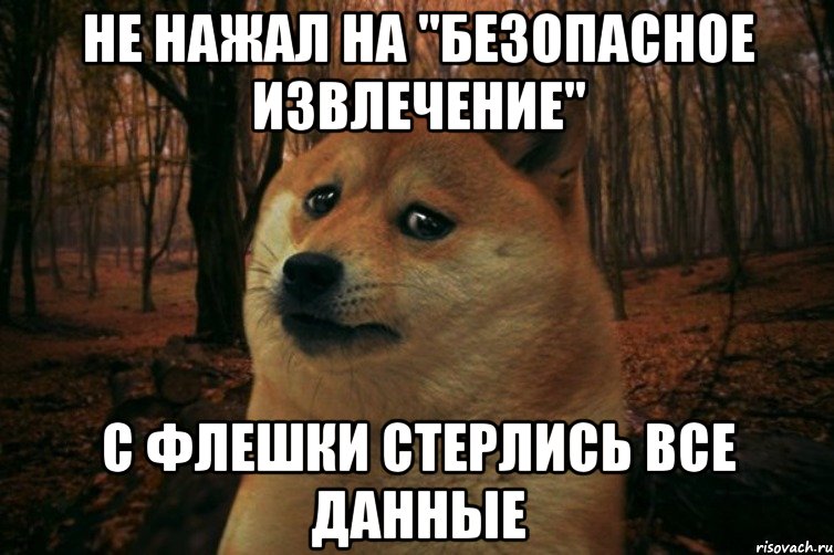 не нажал на "безопасное извлечение" с флешки стерлись все данные, Мем SAD DOGE