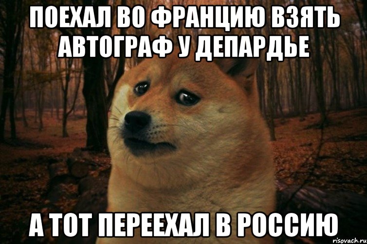 поехал во францию взять автограф у депардье а тот переехал в россию, Мем SAD DOGE