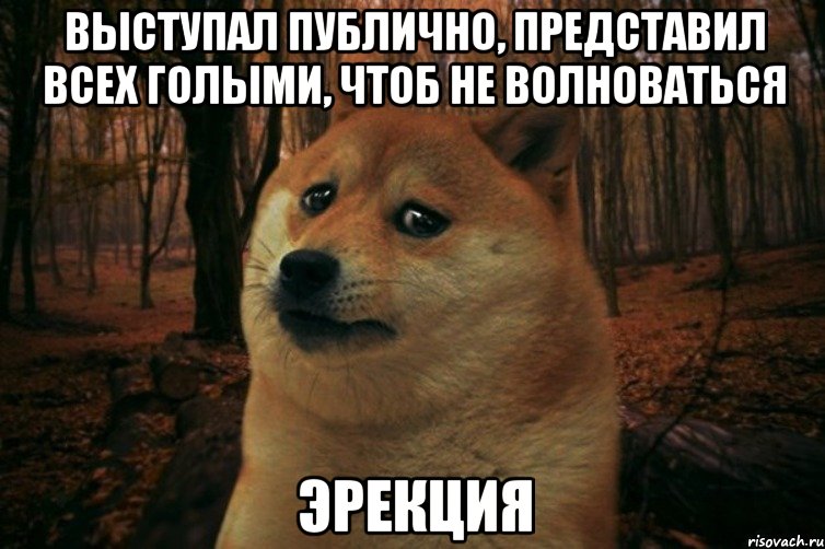 выступал публично, представил всех голыми, чтоб не волноваться эрекция, Мем SAD DOGE